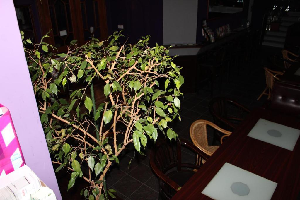 Club Hotel Praha Εξωτερικό φωτογραφία